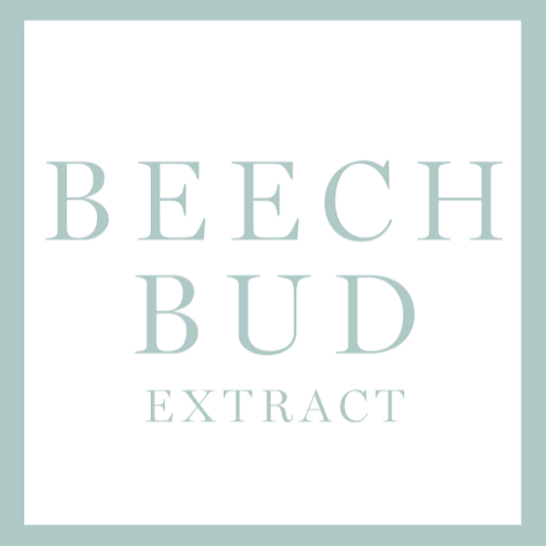 Lancome ingredient Beech Bud Extract